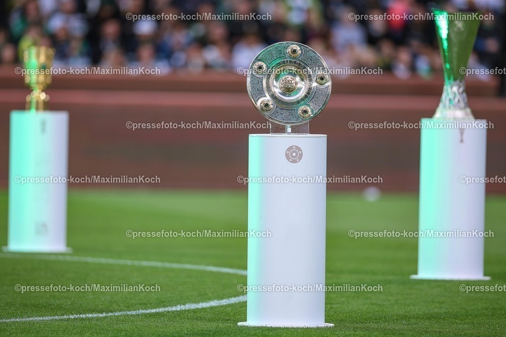 BMG02082501162 | 02.08.2025, Fußball, Borussia Mönchengladbach - FC Valencia, 125 Jahrfeier Jubiläumsspiel, Borussia-Park, Saison 2025 2026: Symbolbild Pokal Ehrenpreise Meisterschale Deutsche Meisterschaft Deutscher Meister UEFA Coupe UEFA Super Cup und DFB Pokal  DFB regulations prohibit any use of photographs as image sequences and or quasi-video. 