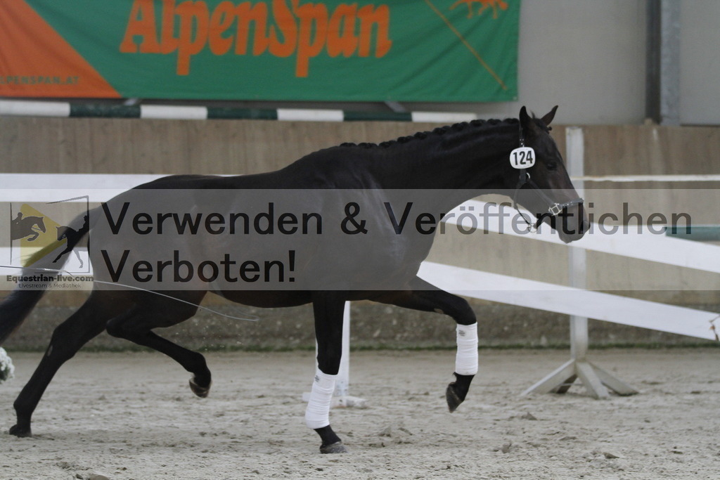 _MG_9660 | equestrian-live-com
