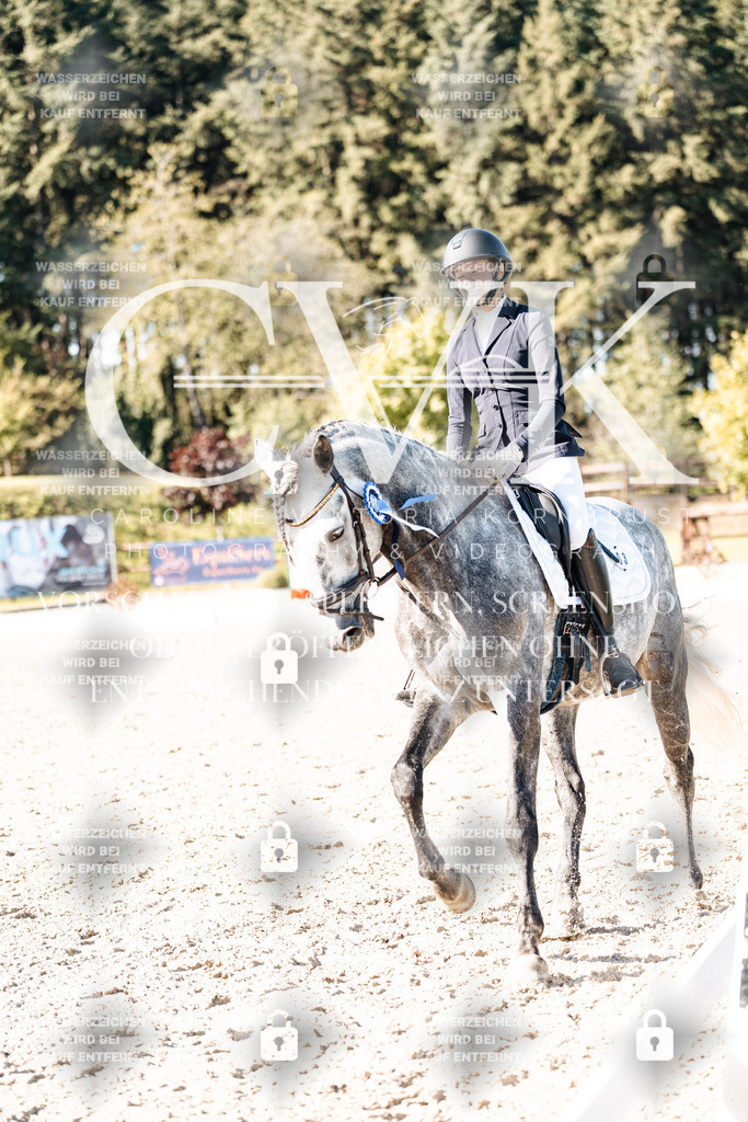 CK908498 | Turnierfotografie Pferdefotografie Trier Rheinland-Pfalz Pferdesport Reitsport Tierfotografie Sportfotografie Pferdevideo Pferdevideografie Equestrianvideography equestrianphotography  - Realisiert mit Pictrs.com