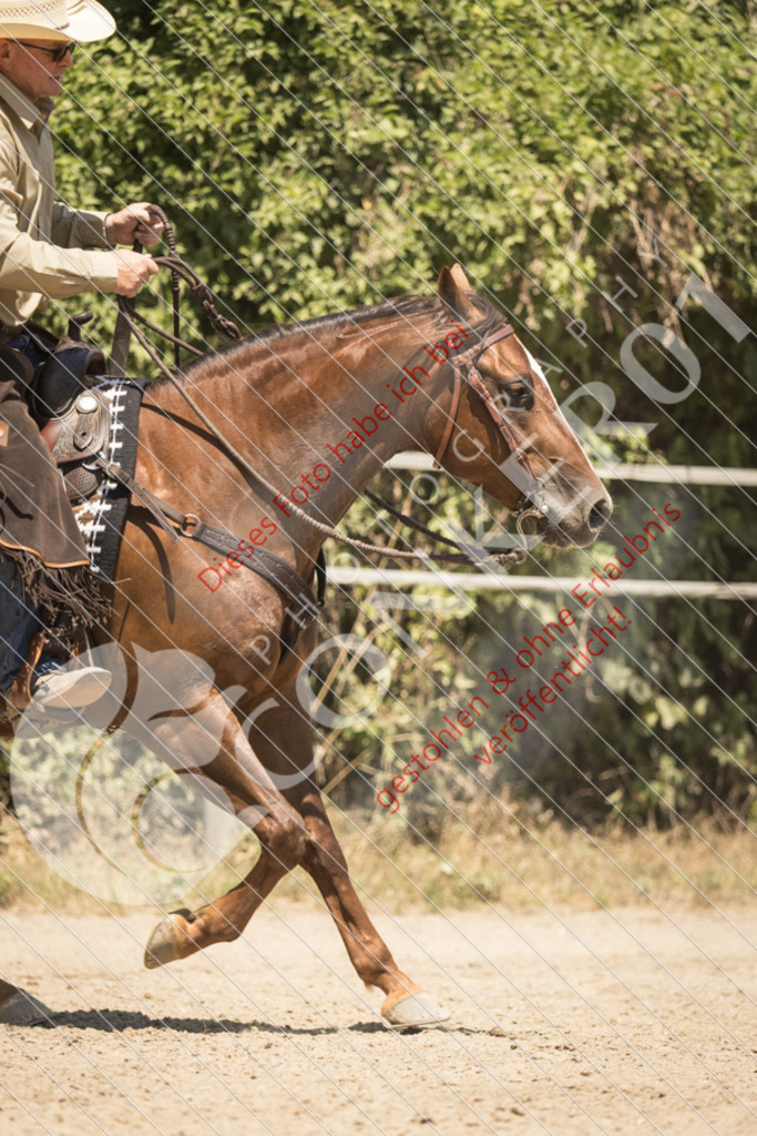IMG_0515 | Sport-, Event- und Tierfotos in Profiqualität. Einfach auswählen, bestellen und herunterladen. Dein Moment – perfekt festgehalten.