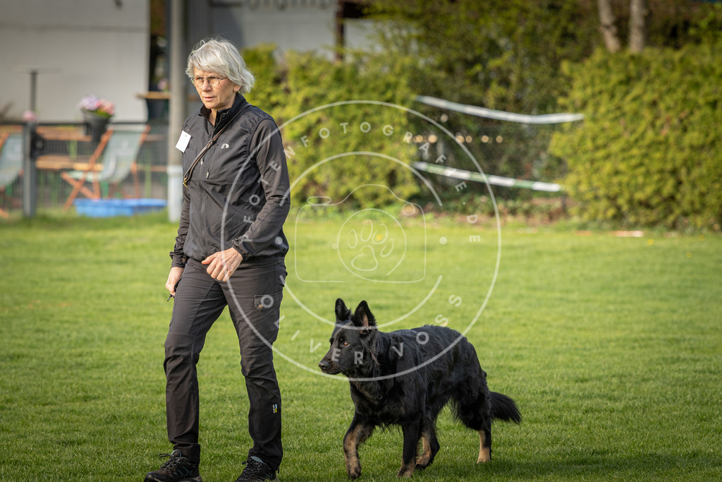 Pfotenfotografie_DV3A4864 | Hundefotografie, Tierfotograf, Pfotenfotografie, Fotoshooting Hund, Hunde Portrait, Hundesport, Hundeportraits, Heideshooting, Hunde, Sportfotograf, Hundefotograf, Turnierhundsport, THS,  - Realisiert mit Pictrs.com
