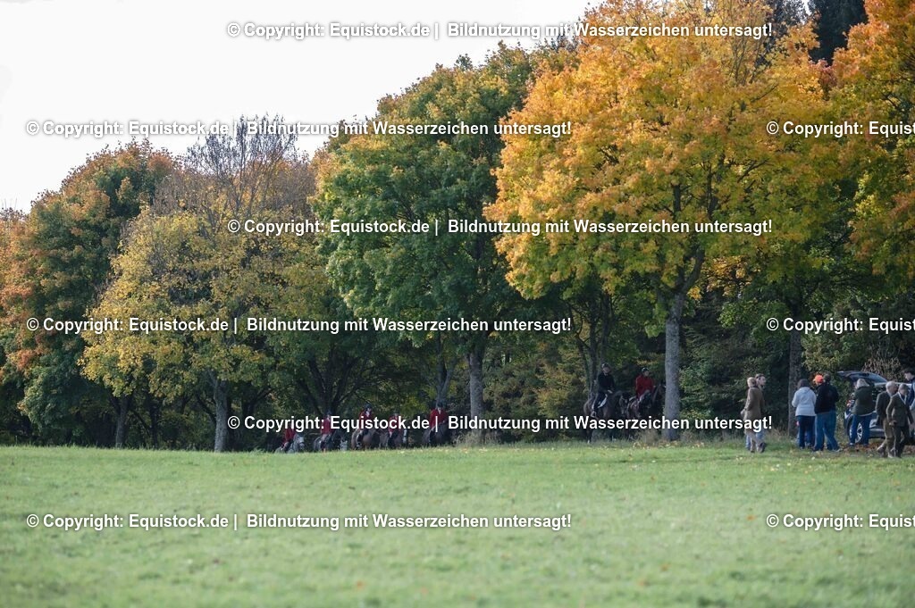 20251011_Jagd-Marbach_0278 | Foto: Thomas Hartig