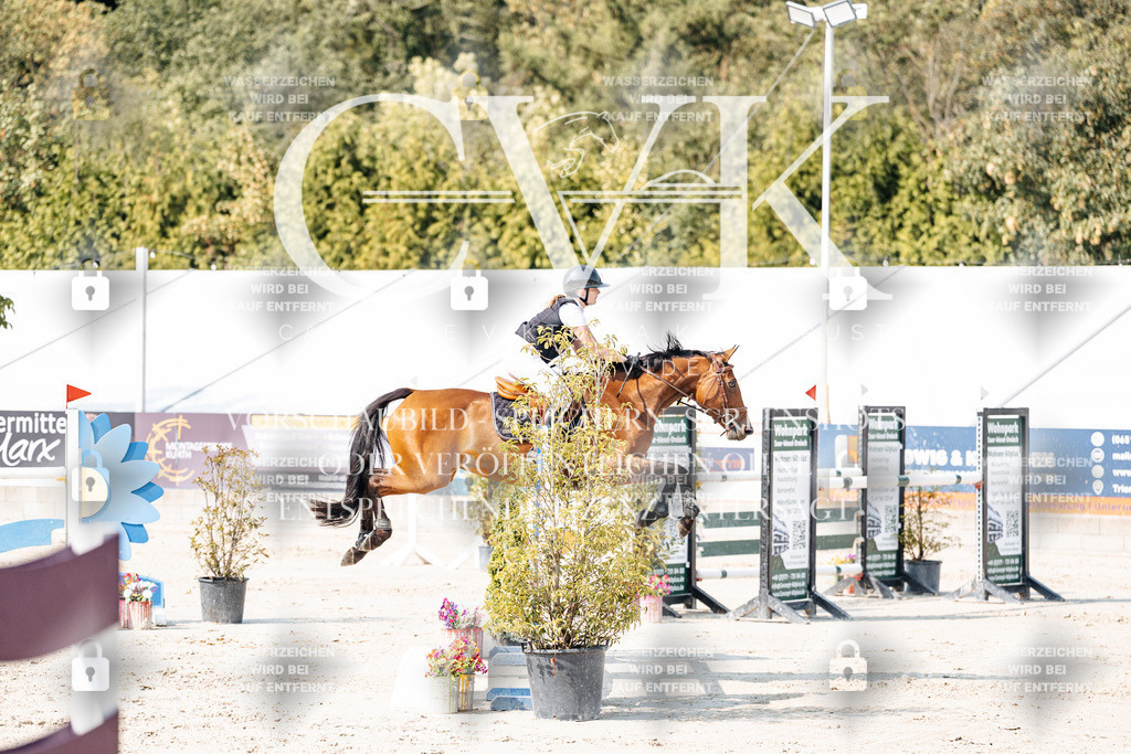 CK902383 | Turnierfotografie Pferdefotografie Trier Rheinland-Pfalz Pferdesport Reitsport Tierfotografie Sportfotografie Pferdevideo Pferdevideografie Equestrianvideography equestrianphotography  - Realisiert mit Pictrs.com