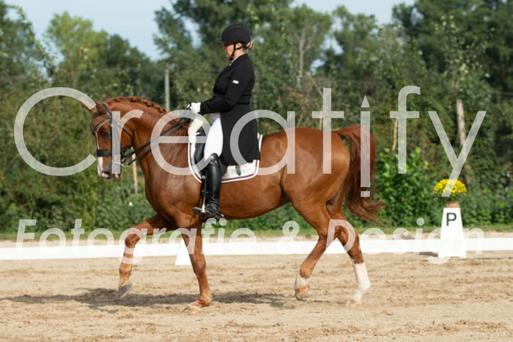 IMG_4609 | Creatify Fotografie