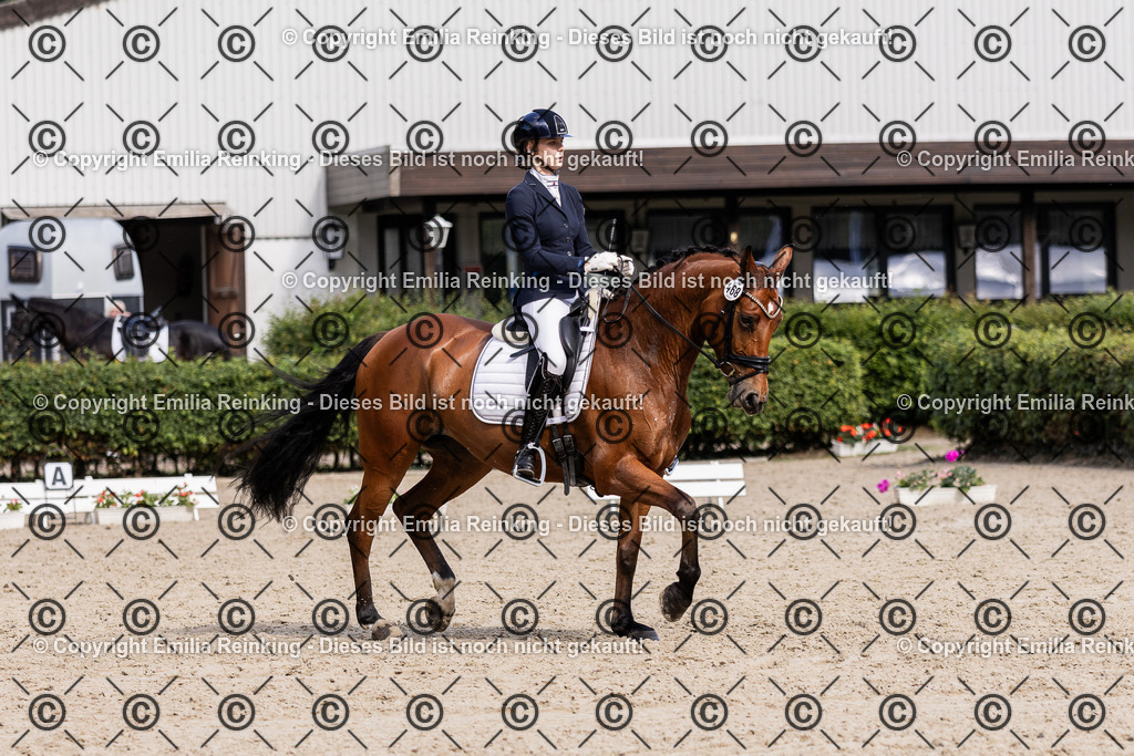 CL5A6220-2 | Emilia Reinking Fotografie - Realisiert mit Pictrs.com