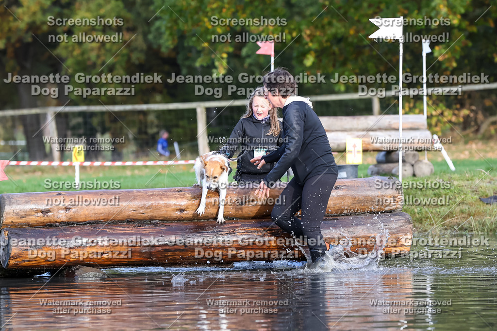 Dog Paparazzi - Strongdog 10-25-8291 | Dog Paparazzi Jeanette Grottendiek Fotografie & Videografie - Realisiert mit Pictrs.com