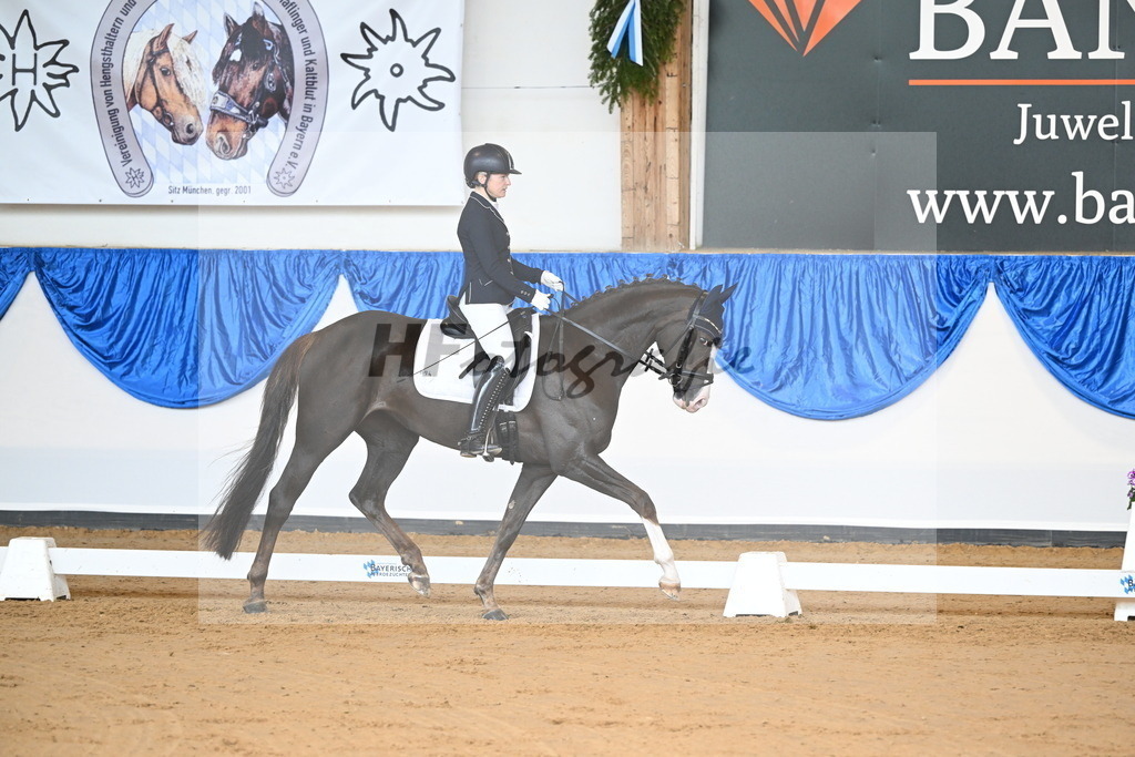 Rotheimer_Danse_avec_moi_4_10230169 | hf-fotografie - Realizzato con Pictrs.com