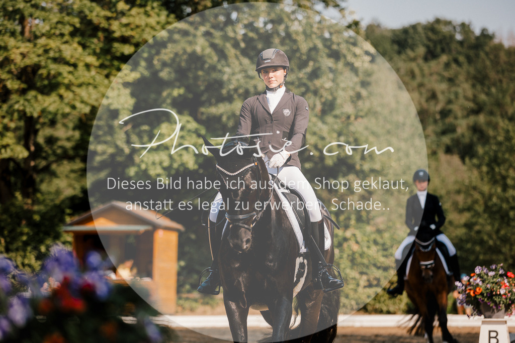 3I6A9022 | Stimmungsvolle Portraits und Reitsportfotografie im Ruhrgebiet und im Münsterland.

Pferdefotografie, Hundefotografie, Tierfotografie, Reportagen, Portraits von Tier und Mensch, Turnierfotografie in Bochum, Recklinghausen, Marl, Haltern am See, Dülmen.. - Realisiert mit Pictrs.com