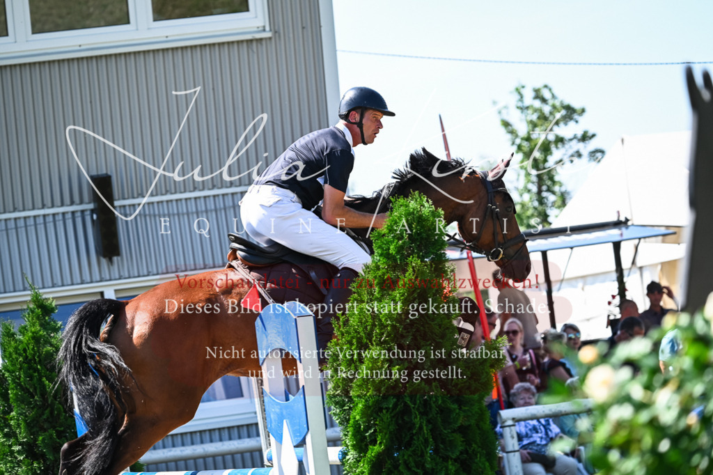 DSC_1288 | Pferde- und Turnierfotografie in Westsachsen. Pferdeportraits, Auftragszeichnungen und intuitive Kunst.