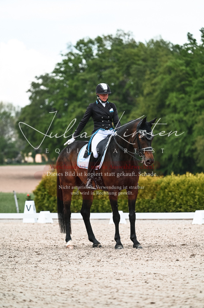 20230514_JK-Röhrsdorf-21-274 | Pferde- und Turnierfotografie in Westsachsen. Pferdeportraits, Auftragszeichnungen und intuitive Kunst.