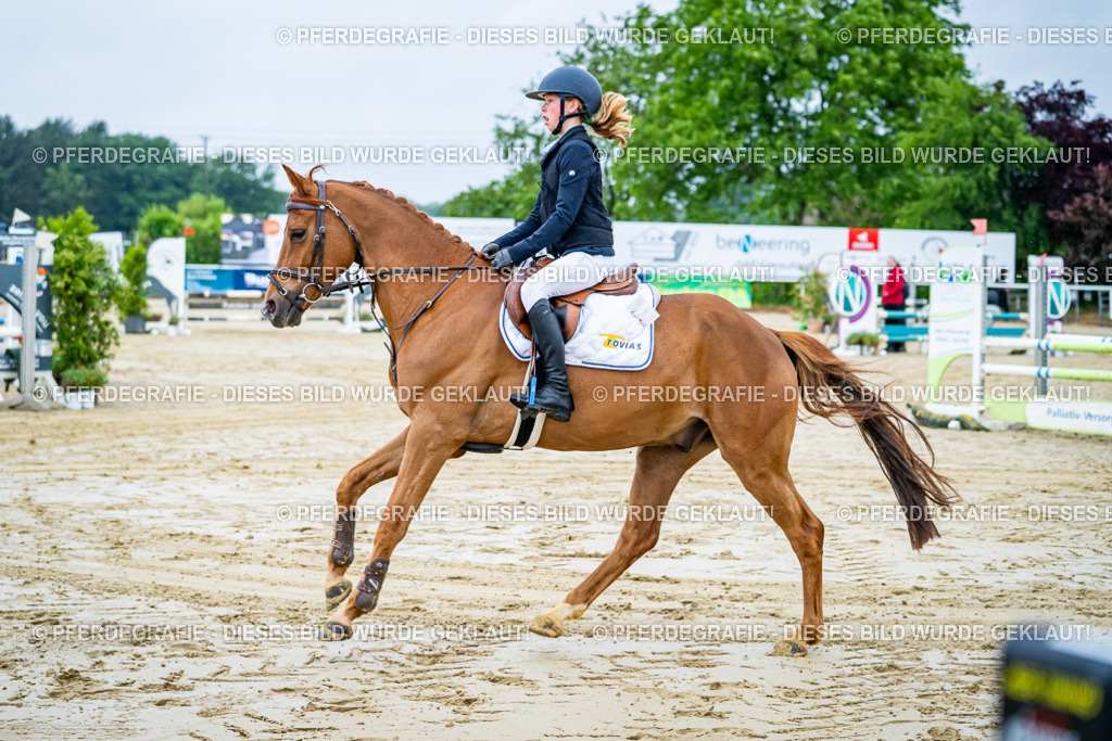 DSC01374 | Pferdegrafie