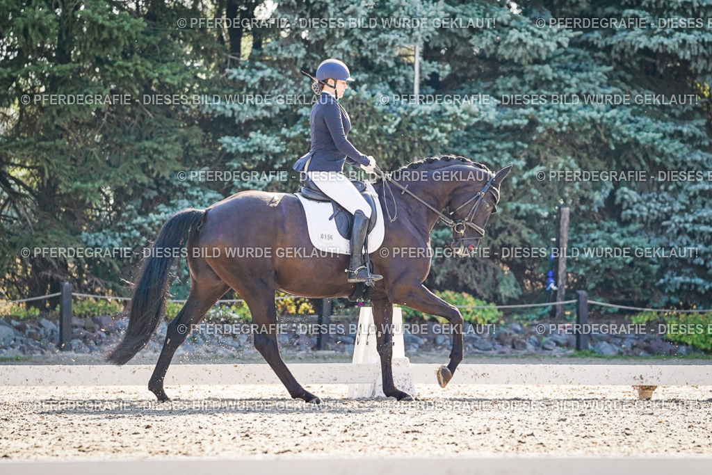 DSC09576 | Pferdegrafie