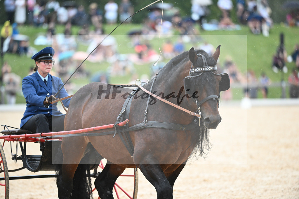 Sulkyquadrille_36240887 | hf-fotografie - Realisiert mit Pictrs.com