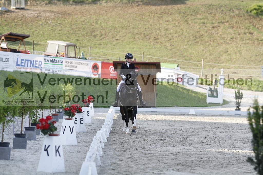 _MG_6335 | equestrian-live-com