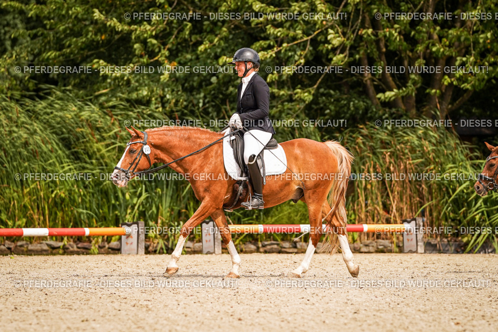 DSC02161 | Pferdegrafie