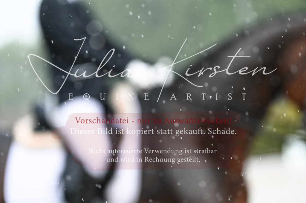 DSC_4126 | Pferde- und Turnierfotografie in Westsachsen. Pferdeportraits, Auftragszeichnungen und intuitive Kunst.