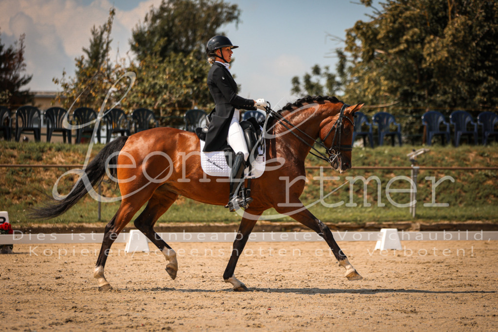 19.FrDrS00022 | Leoni Ertmer Photography - Realisiert mit Pictrs.com