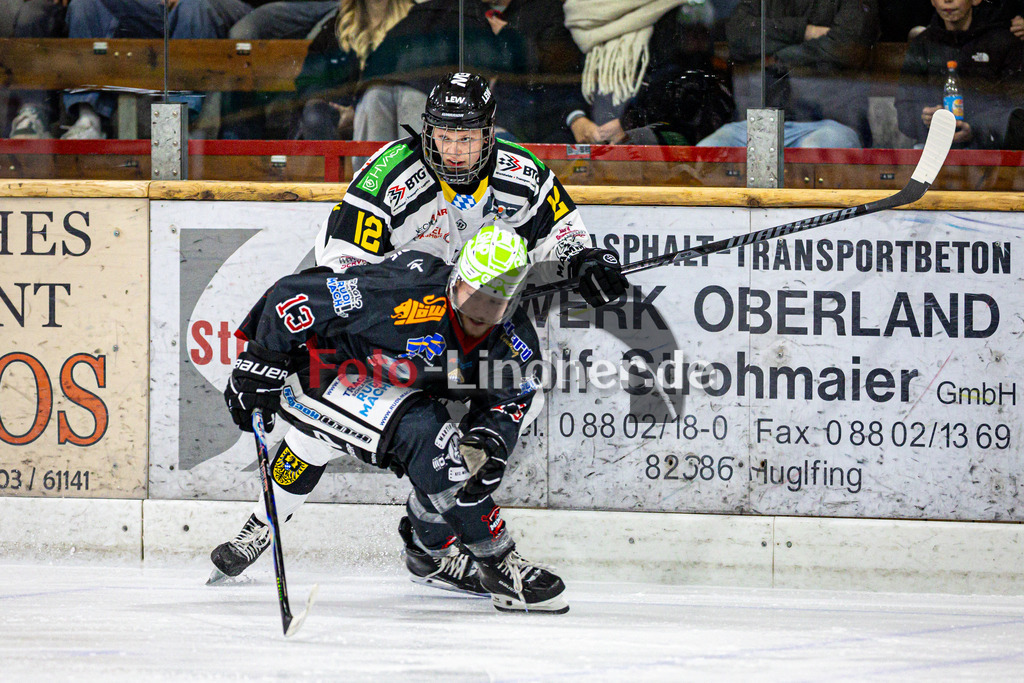 R31_5461 | Shop für Sportfotografie, Bilddatenbank, Pressefotografie, Fußball, Eishockey, Aktionsfotos