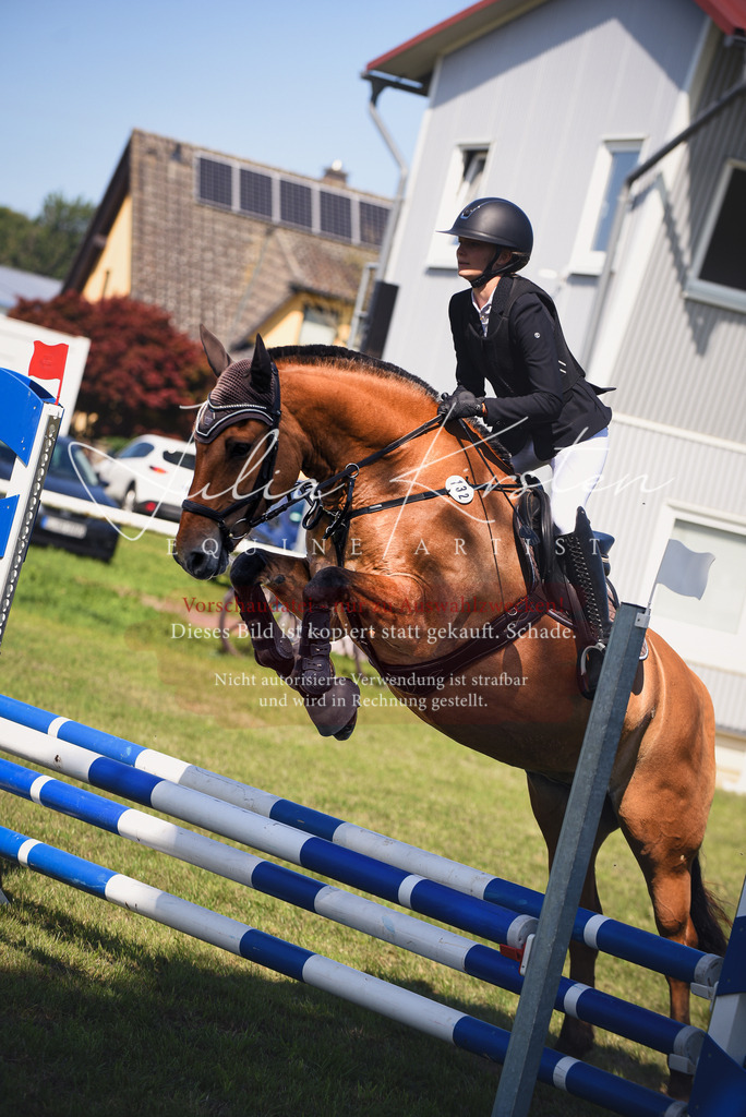 DSC_9242 | Pferde- und Turnierfotografie in Westsachsen. Pferdeportraits, Auftragszeichnungen und intuitive Kunst.