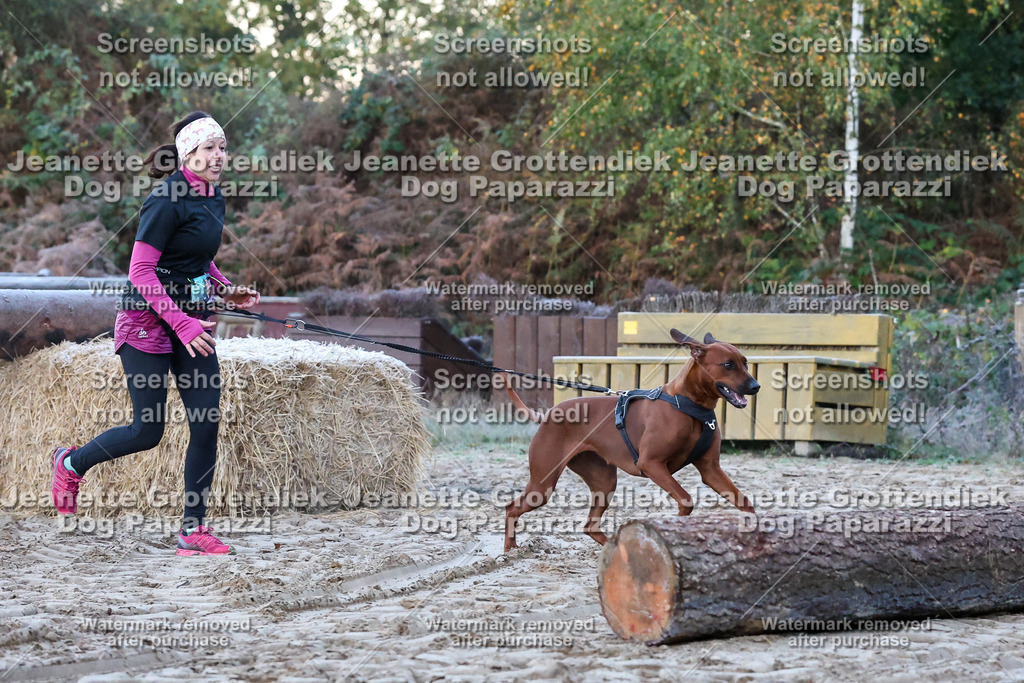 Dog Paparazzi - Strongdog 10-25-29 | Dog Paparazzi Jeanette Grottendiek Fotografie & Videografie - Realisiert mit Pictrs.com