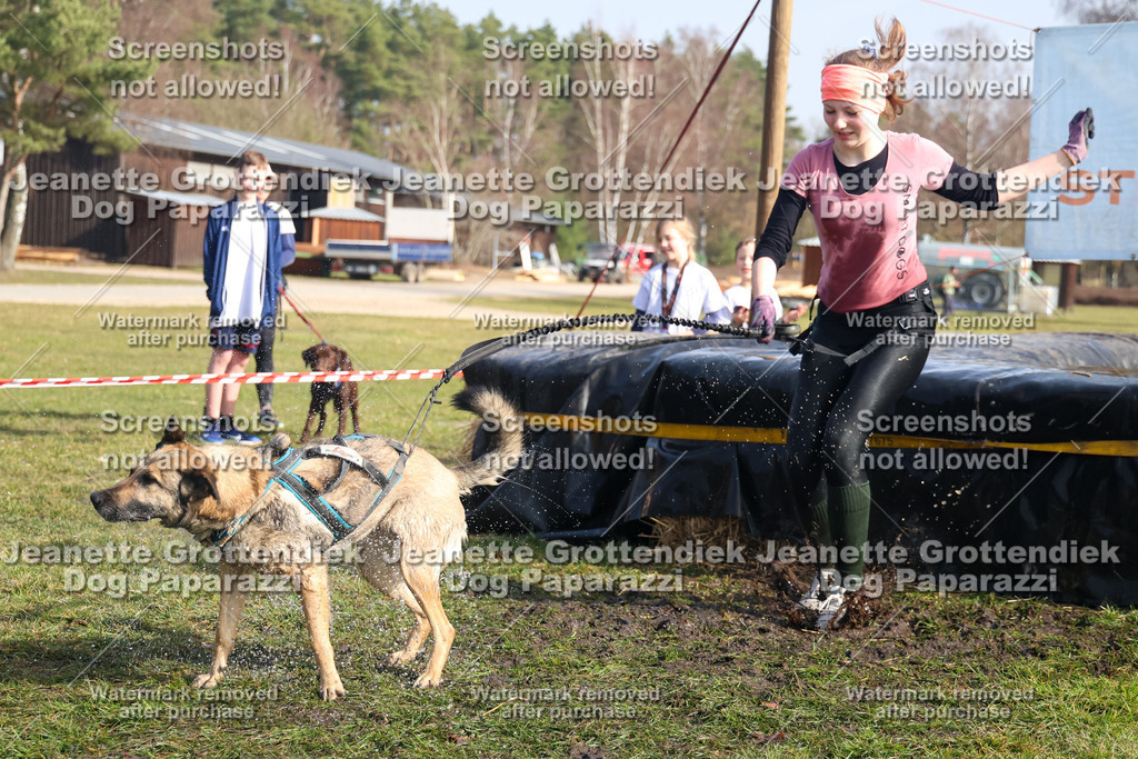 Dog Paparazzi - Strongdog North Mrz26-1784 | Dog Paparazzi Jeanette Grottendiek Fotografie & Videografie - Realisiert mit Pictrs.com