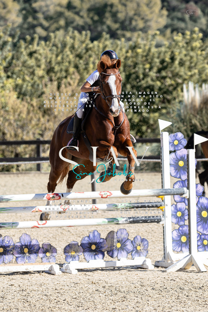 IMG_0718 | s-jay-photography - Realisiert mit Pictrs.com