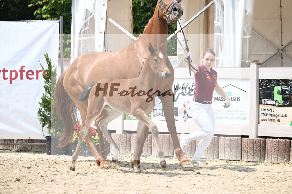 Cardento x Heartbreaker_SF_Wagner_12250863 | hf-fotografie - Realisiert mit Pictrs.com