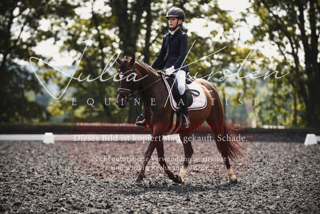 DSC_3701 | Pferde- und Turnierfotografie in Westsachsen. Pferdeportraits, Auftragszeichnungen und intuitive Kunst.