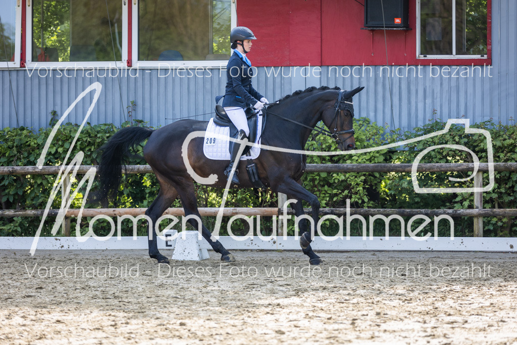 Donop24-A2-Dre-004 | MomenTaufnahmen Pferdesportfotos