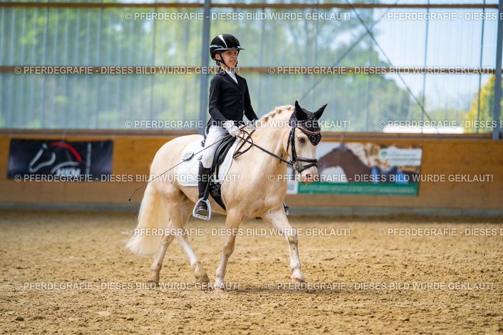 DSC09055 | Pferdegrafie