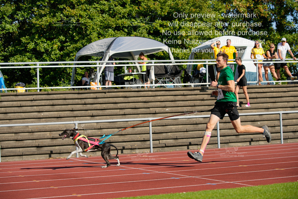 Sonntag_Staffel (202 von 336) | stephaniefillaphotographie - Realisiert mit Pictrs.com