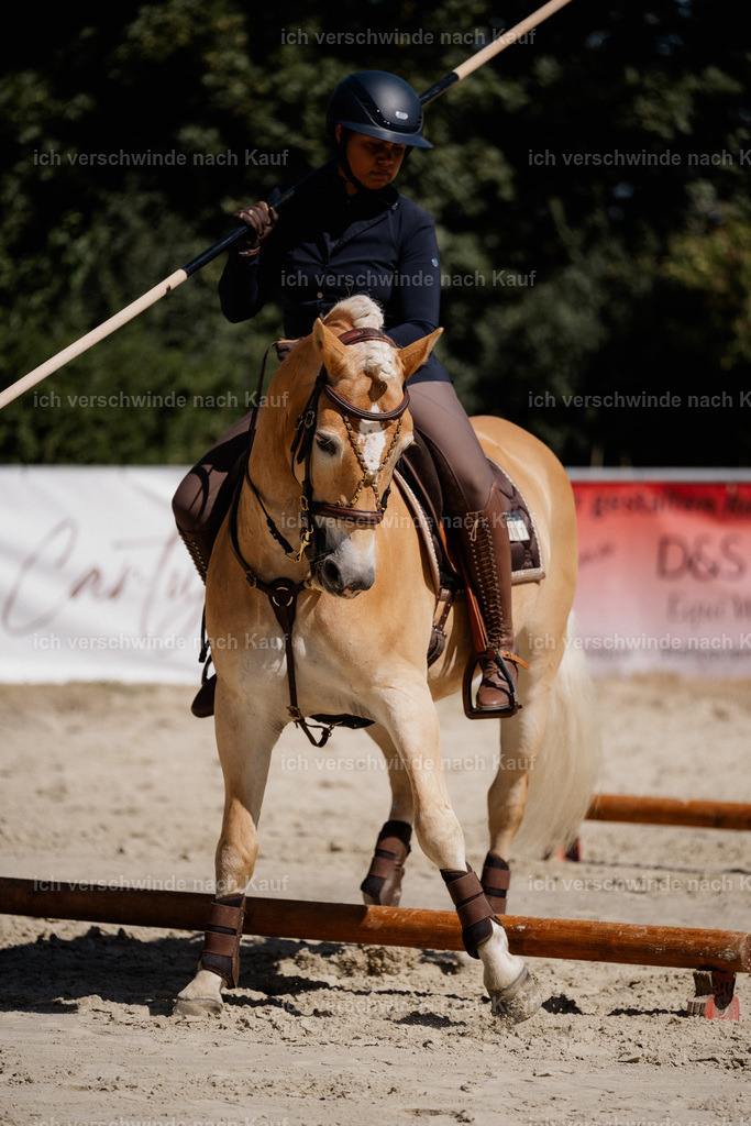 WS_ST_1_stoibphotography_SO10560 | working equitationturnier fotograf videograf stoibphotography marixx film working equitation deutschland reitsport turnierfotografie eventfotografie equestrian events