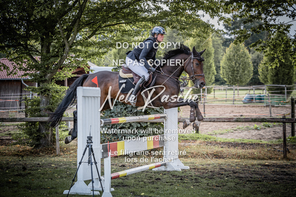 nelerasche_SprM_120Ede_02 | nelerasche