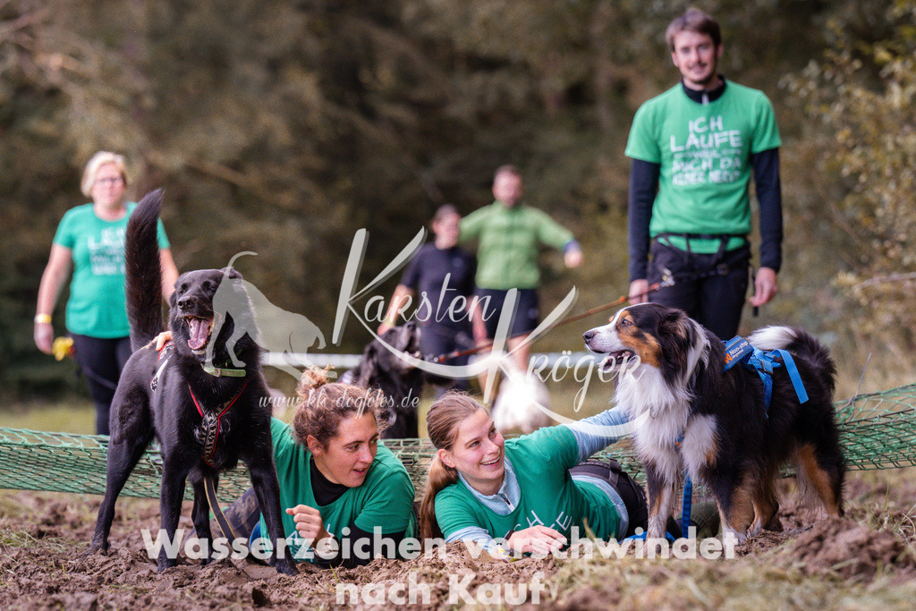 1216_ZZ92933 | kk-dogfotos