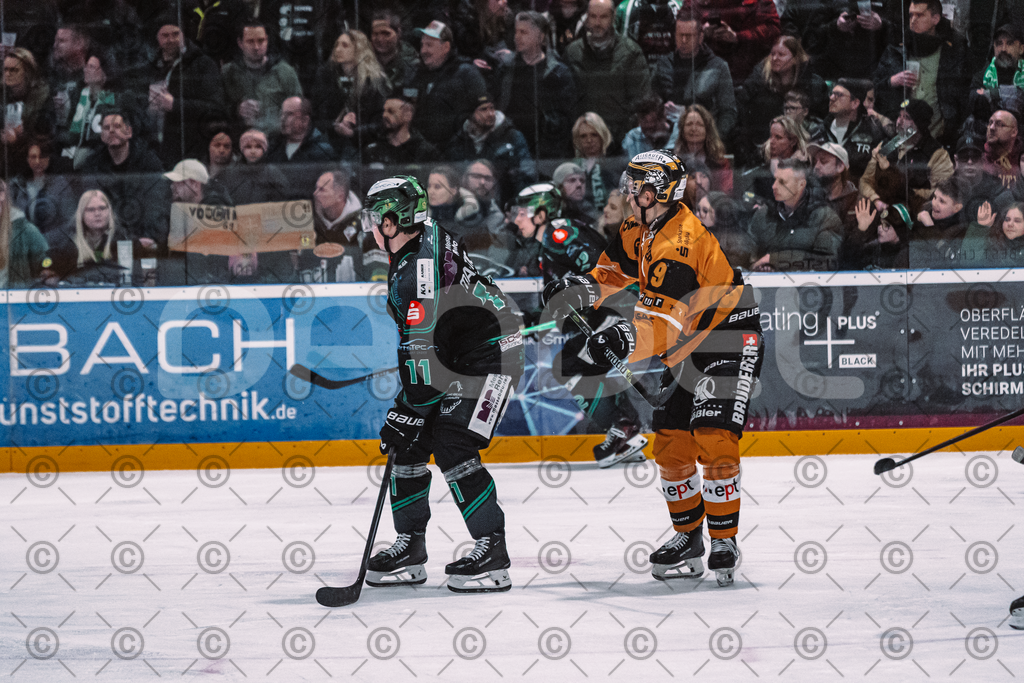 Alligators_vs_Fuessen_06_03_2026_PP-45 | Höchstadt Alligators Fotogalerie: Eishockey-Action aus Franken. Professionelle Spielfotos, Portraits & Stadionbilder zum Download. Jetzt entdecken! - Realisiert mit Pictrs.com
