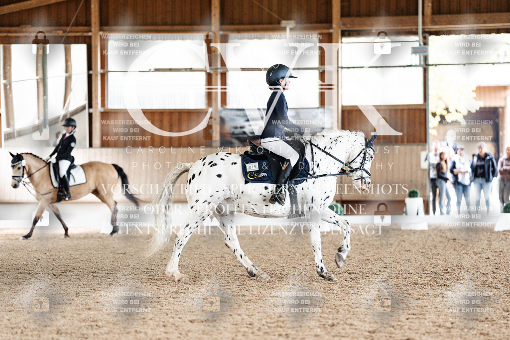 CK900042 | Turnierfotografie Pferdefotografie Trier Rheinland-Pfalz Pferdesport Reitsport Tierfotografie Sportfotografie Pferdevideo Pferdevideografie Equestrianvideography equestrianphotography  - Realisiert mit Pictrs.com