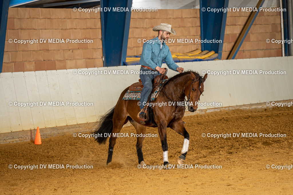 MIT01132 | dv-media-shop - Realisiert mit Pictrs.com