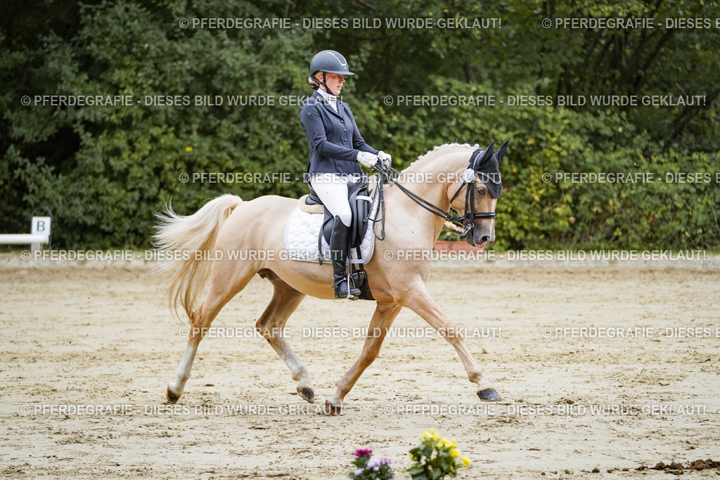 DSC08933 | Pferdegrafie