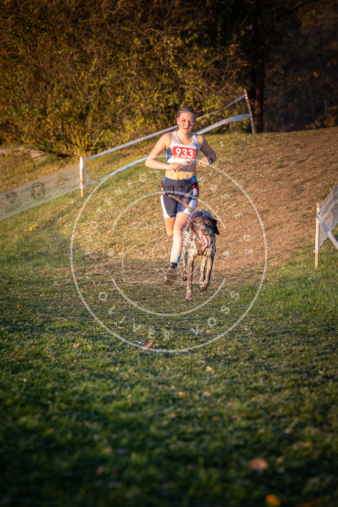 CaniXpix_0L8A1755 | Hundefotografie, Tierfotograf, Pfotenfotografie, Fotoshooting Hund, Hunde Portrait, Hundesport, Hundeportraits, Heideshooting, Hunde, Sportfotograf, Hundefotograf, Turnierhundsport, THS,  - Realisiert mit Pictrs.com