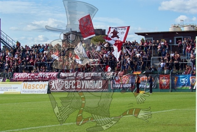 BFC Dynamo vs. FSV 63 Luckenwalde 045 | mythos-online-redaktion