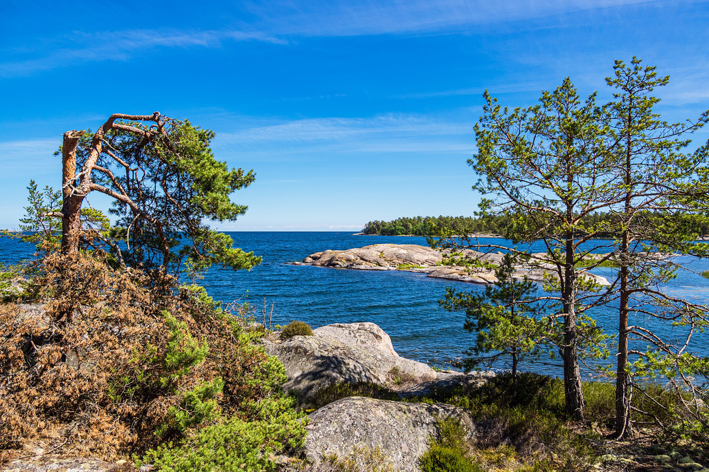 Ostseeküste mit Felsen und Bäumen auf der Insel Hasselö in Schweden | Ostseeküste mit Felsen und Bäumen auf der Insel Hasselö in Schweden.