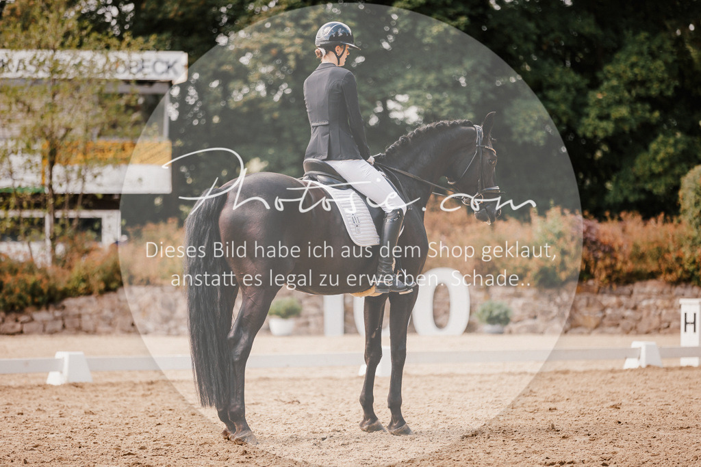 3I6A6074 | Stimmungsvolle Portraits und Reitsportfotografie im Ruhrgebiet und im Münsterland.

Pferdefotografie, Hundefotografie, Tierfotografie, Reportagen, Portraits von Tier und Mensch, Turnierfotografie in Bochum, Recklinghausen, Marl, Haltern am See, Dülmen.. - Realisiert mit Pictrs.com