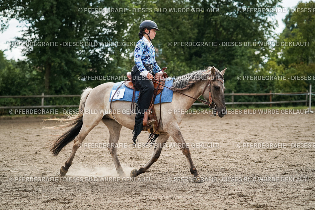 DSC03626 | Pferdegrafie