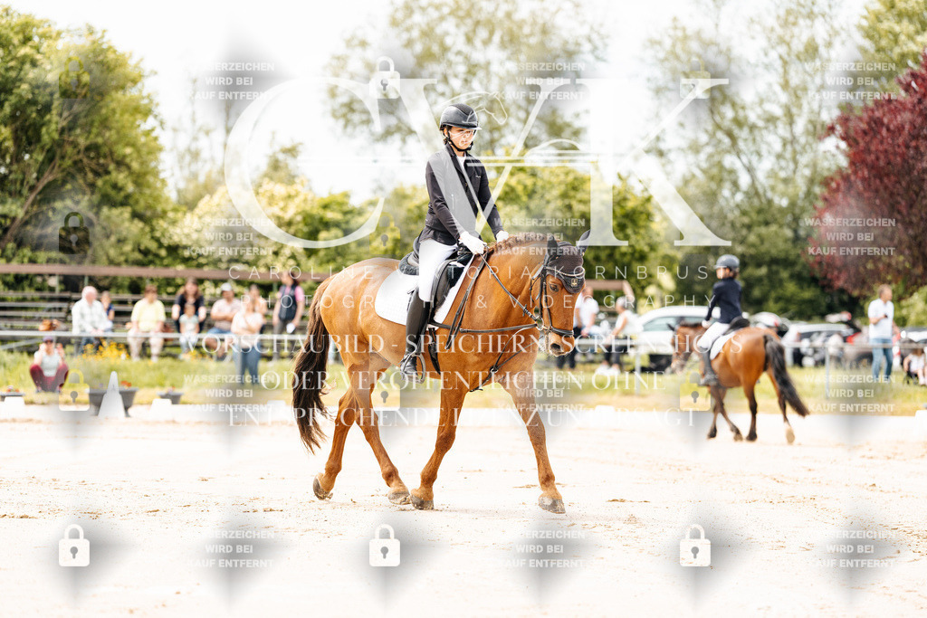 CK902630 | Turnierfotografie Pferdefotografie Trier Rheinland-Pfalz Pferdesport Reitsport Tierfotografie Sportfotografie Pferdevideo Pferdevideografie Equestrianvideography equestrianphotography  - Realisiert mit Pictrs.com