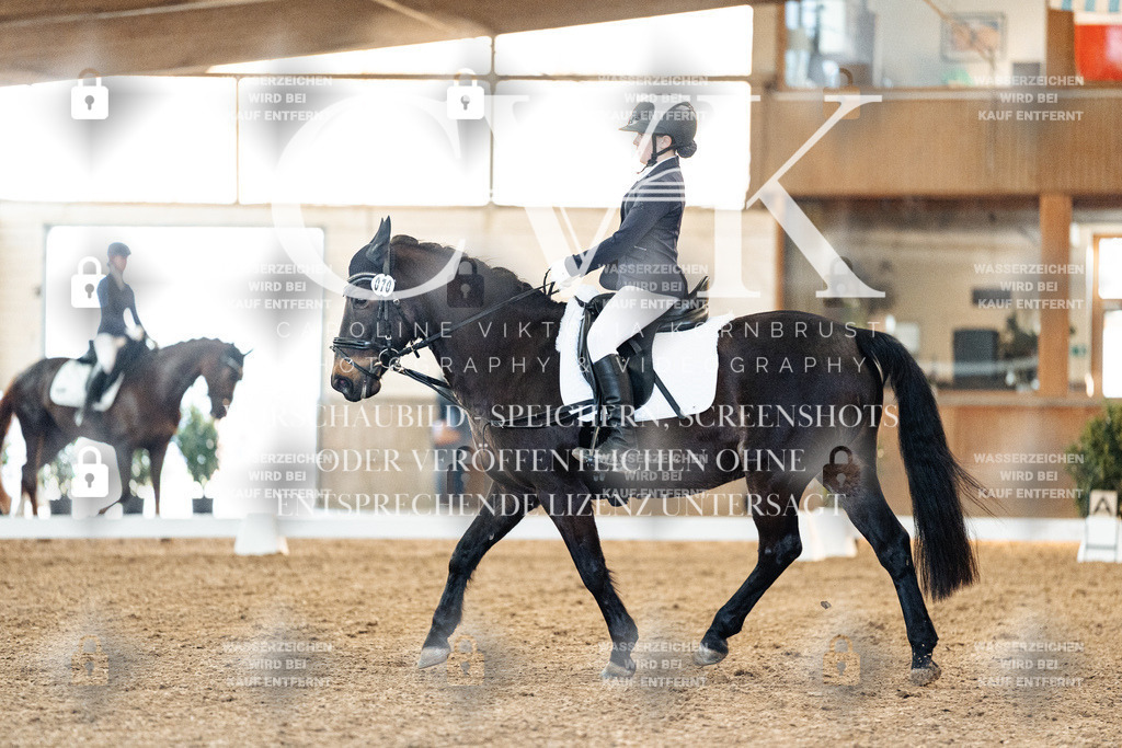 CK906773 | Turnierfotografie Pferdefotografie Trier Rheinland-Pfalz Pferdesport Reitsport Tierfotografie Sportfotografie Pferdevideo Pferdevideografie Equestrianvideography equestrianphotography  - Realisiert mit Pictrs.com