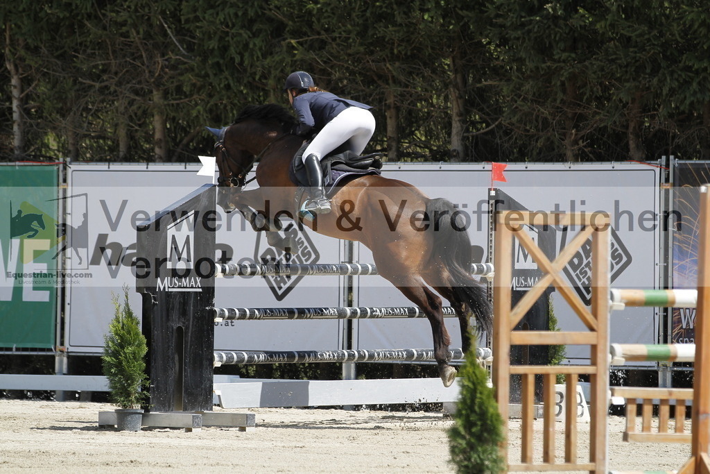 _MG_7353 | equestrian-live-com