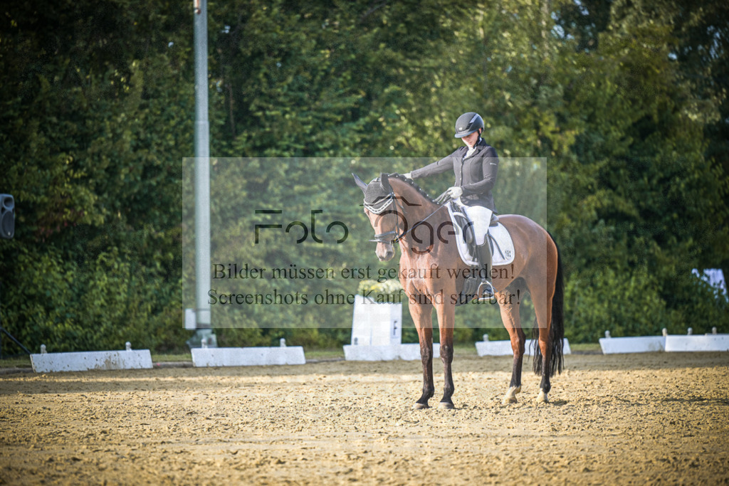 DOS_1446 | Entdecke hochwertige Reitturnierfotos von Foto Oger. Professionell, emotional und authentisch – jetzt Lieblingsmomente im Shop bestellen.Deutschlandweite Turnierfotografie. - Realisiert mit Pictrs.com