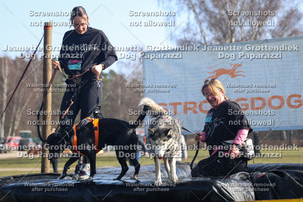 Dog Paparazzi - Strongdog North Mrz26-1391 | Dog Paparazzi Jeanette Grottendiek Fotografie & Videografie - Realisiert mit Pictrs.com
