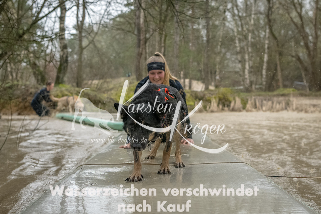 1049_ZZ93503-Bearbeitet | kk-dogfotos