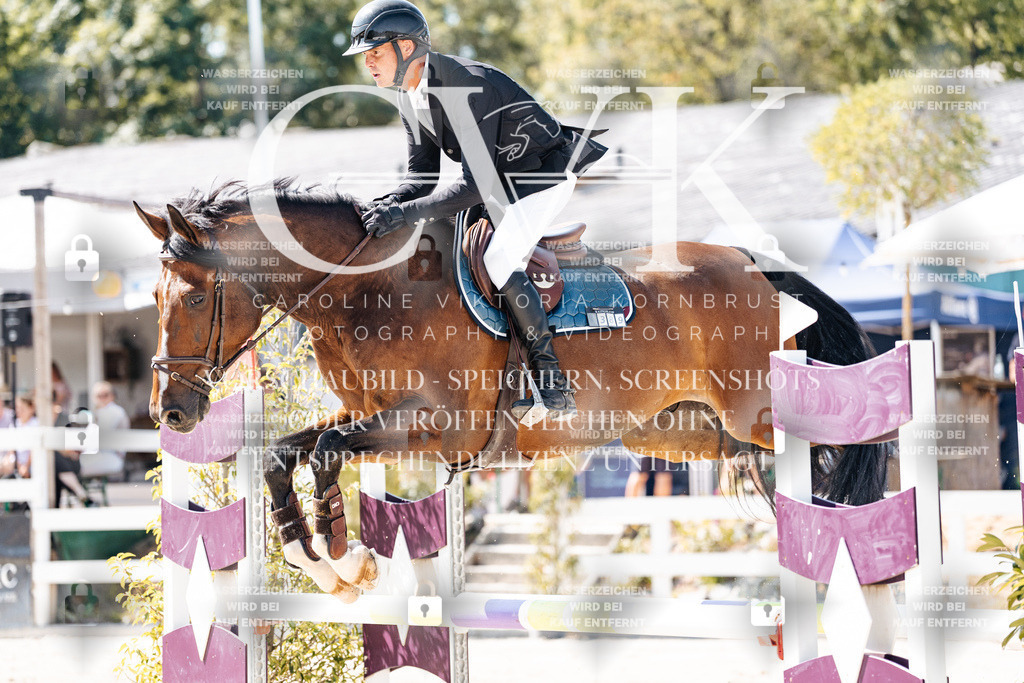 CK909083 | Turnierfotografie Pferdefotografie Trier Rheinland-Pfalz Pferdesport Reitsport Tierfotografie Sportfotografie Pferdevideo Pferdevideografie Equestrianvideography equestrianphotography  - Realisiert mit Pictrs.com